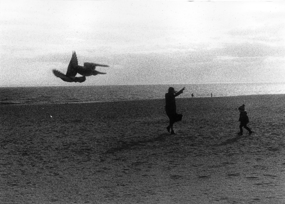 Anya Bocharova (sush). Untitled