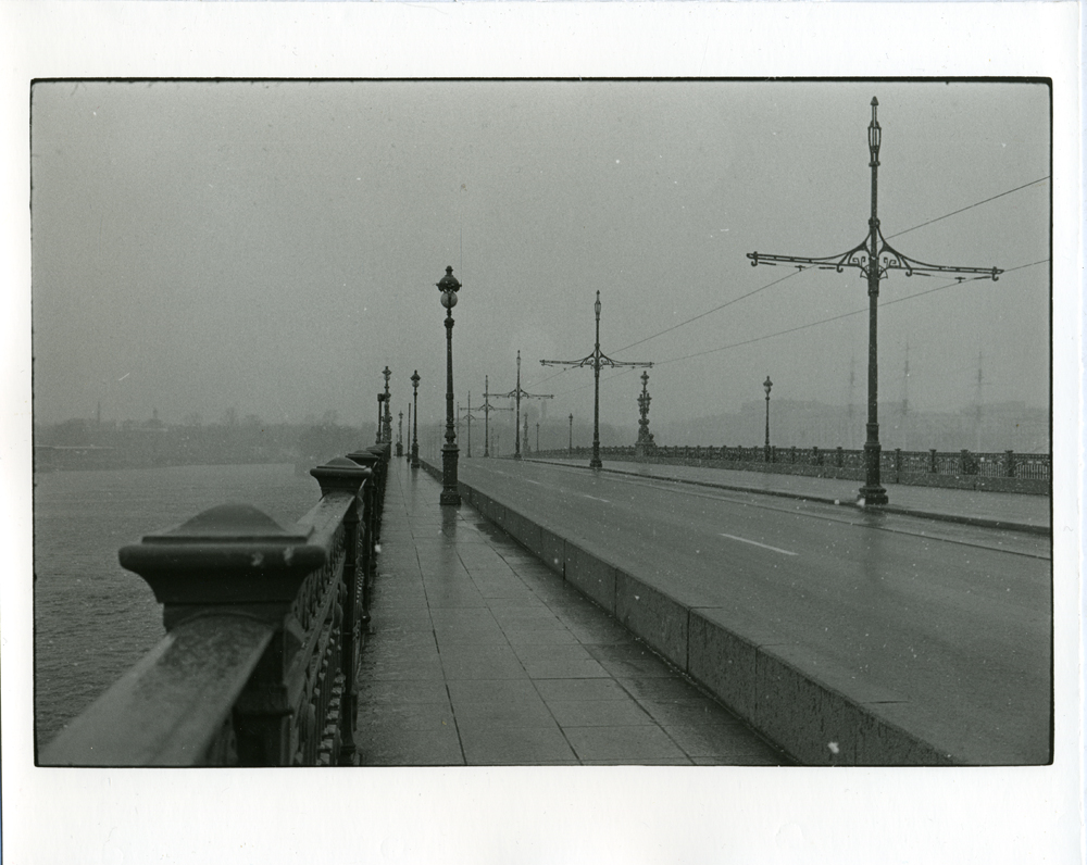 Anya Bocharova (sush). Untitled