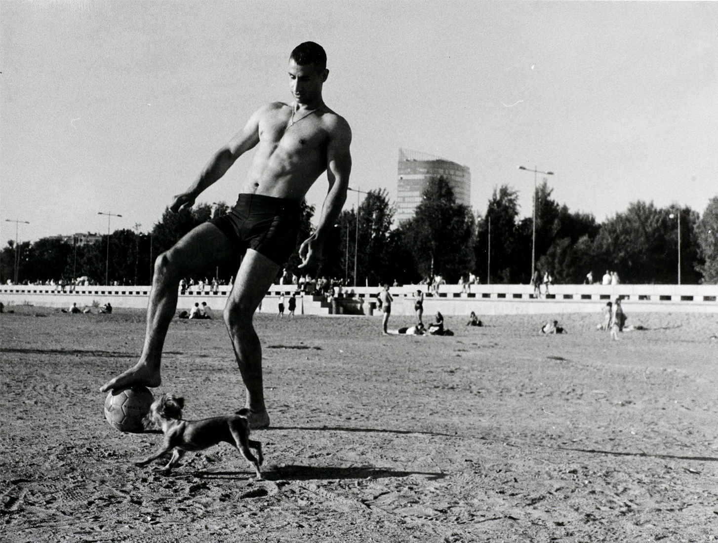 Anya Bocharova (sush). Untitled