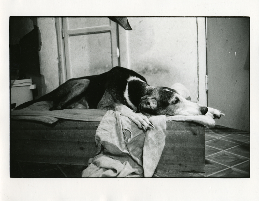 Anya Bocharova (sush). Untitled