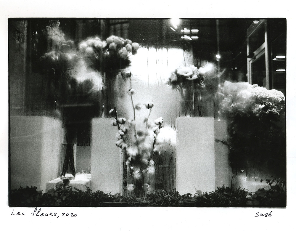 Anya Bocharova (sush). Untitled