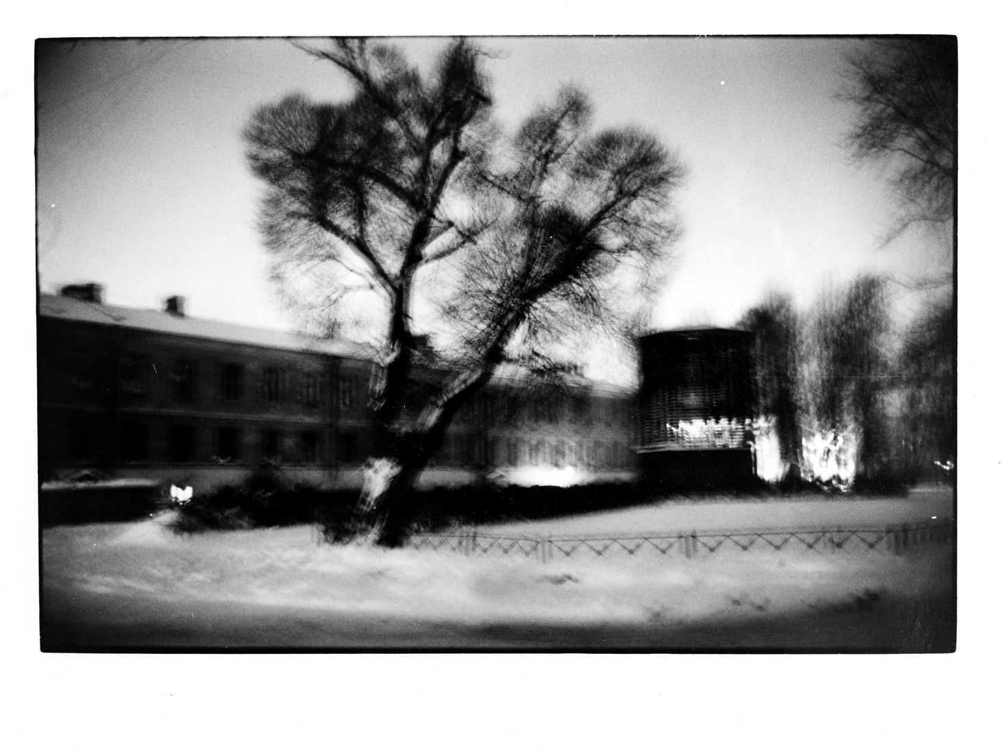 Anya Bocharova (sush). Untitled