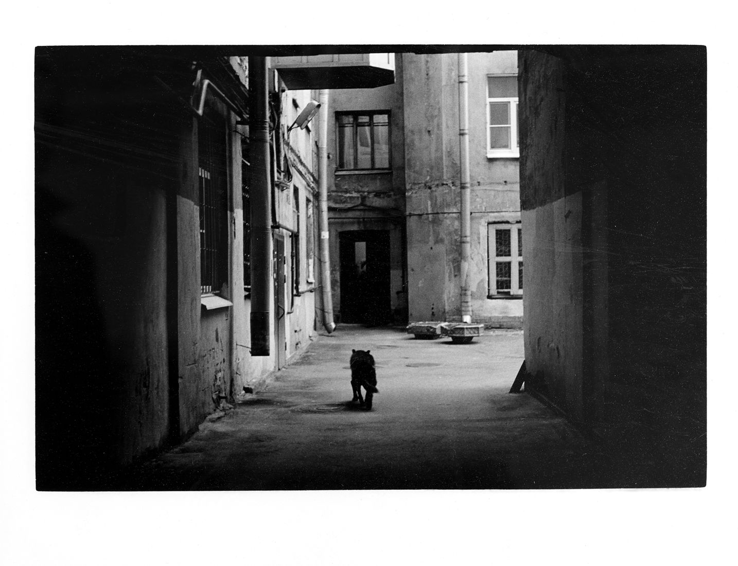 Anya Bocharova (sush). Untitled