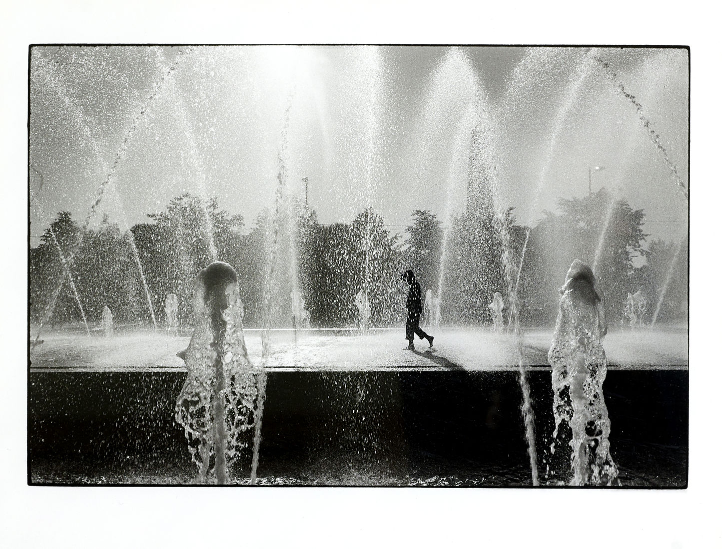 Anya Bocharova (sush). Untitled